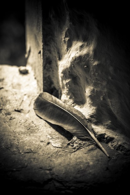 feather-2541570_1280